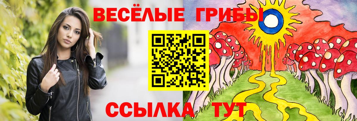 Котовск  Псилоцибиновые грибы мухоморы  Псилоцибиновые грибы GOLDEN TEACHER  Вход с VPN 